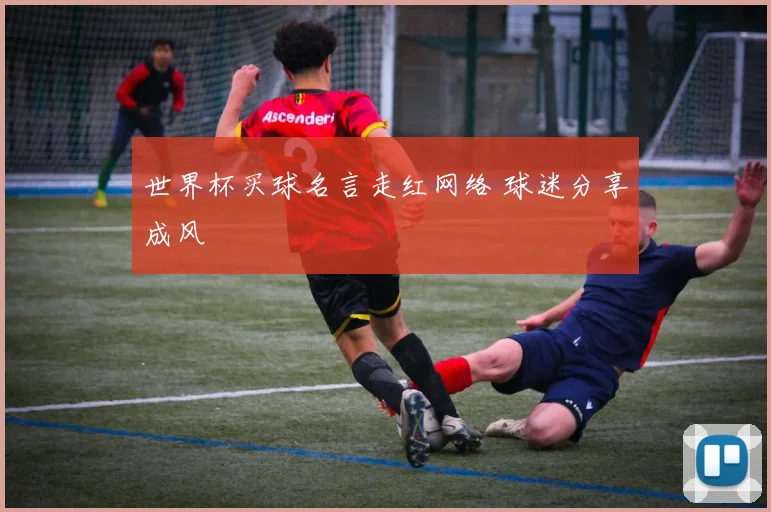 世界杯买球名言走红网络 球迷分享成风