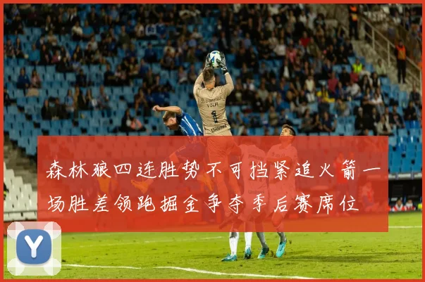 森林狼四连胜势不可挡紧追火箭一场胜差领跑掘金争夺季后赛席位