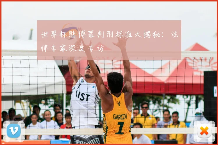 世界杯赌博罪判刑标准大揭秘:法律专家深度专访