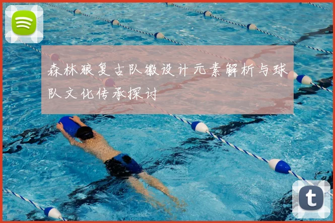 森林狼复古队徽设计元素解析与球队文化传承探讨