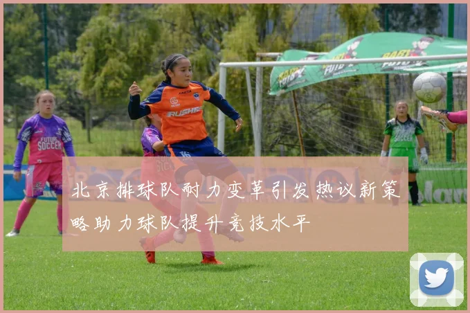 北京排球队耐力变革引发热议新策略助力球队提升竞技水平