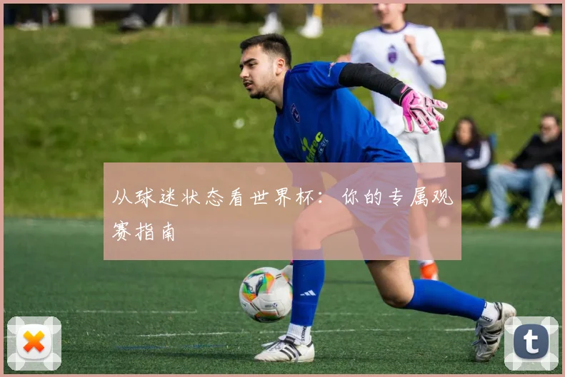 从球迷状态看世界杯:你的专属观赛指南