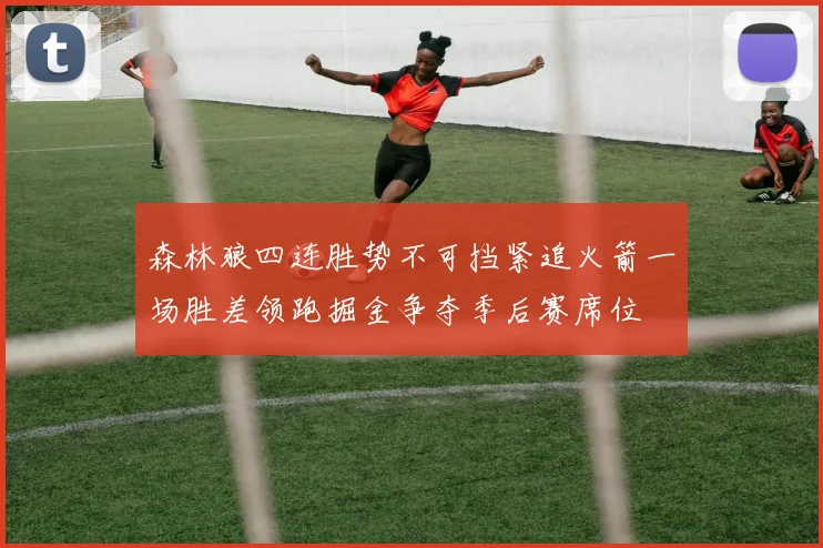 森林狼四连胜势不可挡紧追火箭一场胜差领跑掘金争夺季后赛席位