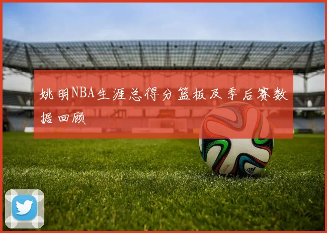 姚明NBA生涯总得分篮板及季后赛数据回顾