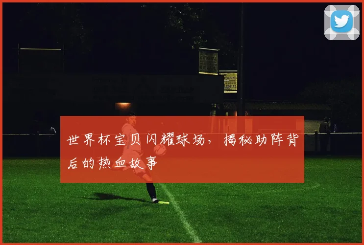 世界杯宝贝闪耀球场,揭秘助阵背后的热血故事