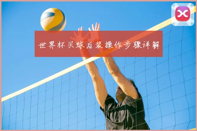 世界杯买球后装操作步骤详解