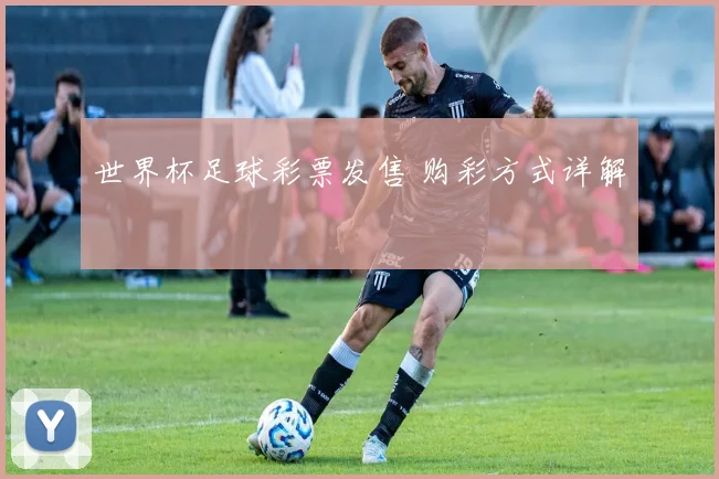 世界杯足球彩票发售 购彩方式详解