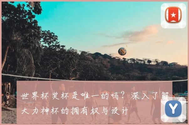 世界杯奖杯是唯一的吗?深入了解大力神杯的拥有权与设计