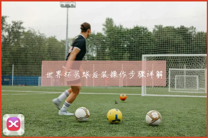 世界杯买球后装操作步骤详解
